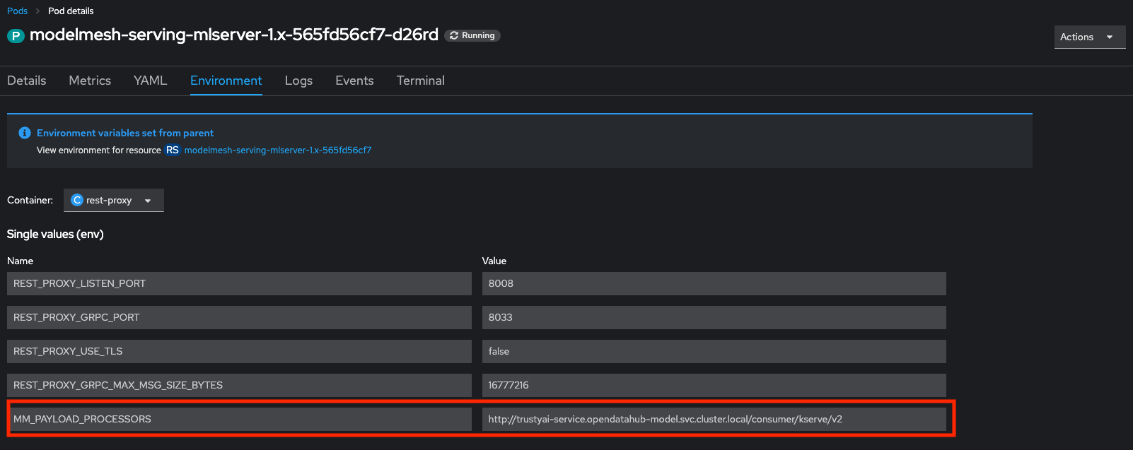 Pods in the Model Namespace